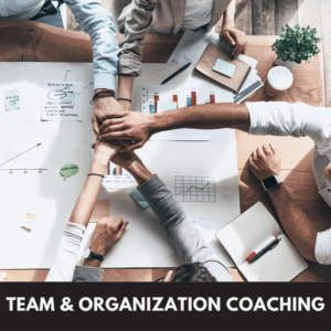 team organization coaching